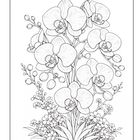 Eine detaillierte Schwarz-Weiß-Illustration zeigt Orichdeen und kleine Blüten, die aus üppigem Blattwerk wachsen.