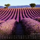 Kalendertext unten: "Lavendel Feld, Valensole Plateau 2". Reihen von lila Lavendelbüschen mit Bäumen und Hügeln im Hintergrund.
