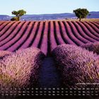 Kalender mit Lavendel Feld, Valensole Plateau. Lila Lavendelreihen erstrecken sich bis zu einsamen Bäumen am Horizont.