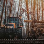 Kalenderdaten unten, mit einem Traktor in einem Wald, Stapel von Holzstämmen in der Mitte.