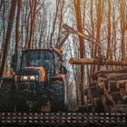 Zahlen 1 bis 28 und ein großer "2" am Rand. Ein Traktor hebt Baumstämme im Wald, viele kahle Bäume ringsum.