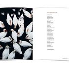 Links viele Schwäne in einem dunklen Wasser. Rechts ein Gedicht mit dem Titel "Auf der Suche" von Elisabeth Lebhertz.