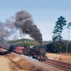 Rechts Kalender für Februar 2021. Links fährt eine Dampflokomotive auf Schienen, umgeben von Bäumen.