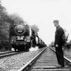 Auf einer Dampflokomotive steht "50 611". Ein Bahnschaffner beobachtet den Zug auf den Gleisen in einer bewaldeten Umgebung.