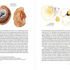 Cover/Product zoom