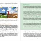 Überschriften: "Starkregen, Fluten, Überschwemmungen", "Überschwemmungen". Diagramm zeigt Verdunstungseffekte auf Bodenklima. 