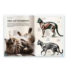 „Jäger auf Samtpfoten“ steht oben. Links sieht man eine flauschige Katze, rechts anatomische Illustrationen von Katzen.