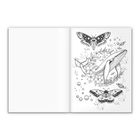 Keine Texte. Illustration: Wal, Schmetterlinge, Blüten, Planeten und Sterne auf weißem Hintergrund.