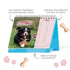 "Wer Vertrauen hat, erlebt jeden Tag Wunder." Ein Tischkalender mit Hundebild, Monatsübersicht und Platz für Notizen.