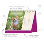 Praktische Monatsübersicht, Zitat von Voltaire, niedliches Kätzchen in Blumenwiese, Kalender mit Feiertagen.