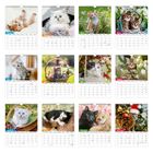 Kalenderblätter von Januar bis Dezember mit Katzenfotos. Jede Seite zeigt ein anderes Kätzchen in verschiedenen Posen.