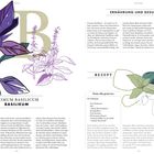 „OCIMUM BASILICUM BASILIKUM“ – Text über Nutzung und Vorteile, Rezept „Pesto alla genovese“. Illustration von Basilikumblättern.
