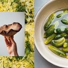 Ohne Text. Links Salat, mittig ausgestreckte Hand mit großem braunen Pilz, rechts Gurken in einer mit Wasser gefüllten Schüssel.