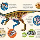 "Bescheidene Anfänge. Eoraptor lunensis. Blick aufs Becken. Eoraptor-Nahrung. Die Knochen von Eoraptor. Diplodocus." 

Illustration eines Dinosauriers, Eoraptor, mit Vergleichsgröße zu Mensch und Hund. Verschiedene Erklärtexte rundherum.