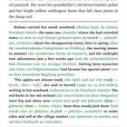 Seite 2. Bethan trägt ihr Notizbuch, in dem sie über Verschwinden von Honigbienen im Frühling notierte.
