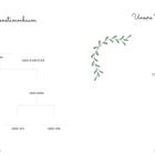 "Der Familienstammbaum" mit Zweigen. Links: Familienstammbaum, rechts: "Unsere Familie", darunter "FOTO". Florale Zweige.