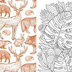 Links Tiere wie Hirsch, Fuchs und Wildschwein in Braun. Rechts schwarz-weiße Zeichnung von Monstera-Blättern und Blumen.