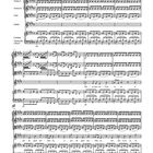 Notenblatt mit der Überschrift "Aria" und Tempoangabe "Largo". Instrumente: Violine I, II, Viola, Fagott, Cembalo, Violoncello, Bass.