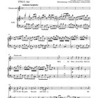 "Foundling Hospital Anthem HWV 268, Fassung 1753, Georg Friedrich Händel, Tenore solo, Andante larghetto." Musiknoten sichtbar.