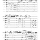 Partitur mit dem Titel: "Rhapsodie über Ukrainische Themen Nr.2, Op.18". Noten für verschiedene Instrumente.