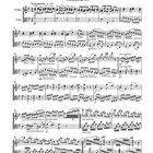 "Passacaglia, Frei nach Händel, Adolf Busch gewidmet, Erschienen um 1895." Notenblatt mit Violine und Viola.