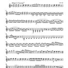 "Ein musikalischer Spaß", Violino II, Allegro (1. Fassung), KV 522. 42 Takte Noten mit Dynamikangaben und Staccato-Zeichen.