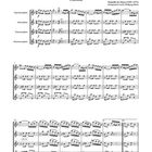 "Não me toques" und "Rühr mich nicht an / Don’t touch me" gehören zu einem Musikstück für Saxophonquartett (SATB).