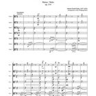 "An der schönen blauen Donau" Walzer op. 314, Johann Strauß. Arrangement: Wolfgang Birtel. Partitur für verschiedene Streicher.