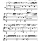 Notenblatt für "Czardás Danse Hongroise opus 10" von Adolphe Fischer, arrangiert von Wolfgang Birtel. Instrumente: Violine, Klavier.