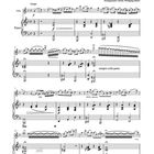 "Czardás Danse Hongroise opus 10. Adolphe Fischer (1847–1891), Arrangement: Wolfgang Birtel." Noten für Flöte und Klavier.