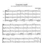 "Concerto c-moll, für vier Fagotte bearbeitet von Jean-Christophe Dassonville, Antonio Vivaldi. Noten für vier Fagotte."