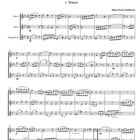 "Walzer & Co." und "1. Walzer" mit Notenlinien für zwei Oboen und Englischhorn. Komponistin: Helga Warner-Buhlmann.