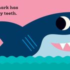 "This little shark has sharp, pointy teeth." Illustration: Ein lächelnder, einfacher Hai auf rosa Hintergrund über blauem Wasser.