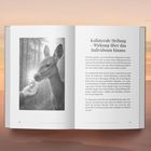 "Collaterale Heilung – Wirkung über das Individuum hinaus." Ein Schwarzweißbild zeigt ein Reh, das aus einer Hand frisst.