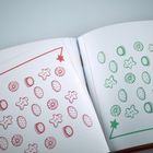 Links oben ein roter Stern, rechts unten ein grüner Stern. Darunter Zeichnungen von Keksen in Rot und Grün.