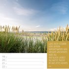 "Lass dich stumm von jenem sonderbaren Sog dessen anziehen, was du wirklich liebst. Du wirst nicht in die Irre gehen." - Rumi

Zeilen für Tage und Datum, darunter Landschaft mit Himmel und Gräsern.