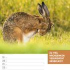 Zu viel Nachdenken verursacht Grübelei. Kalenderblatt, April 2027, mit einem Hasen, der sich schnäuzt.