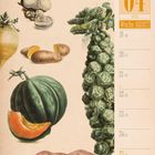 04 April, Woche 16 | 2027 Kalender. Illustration von Gemüse: Kürbis, Pilze, Kartoffeln, Rosenkohl.
