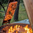 Ein Lachsfilet mit Kräutern wird an einem Brett über einem offenen Feuer gegrillt. Es ist von Bäumen umgeben.