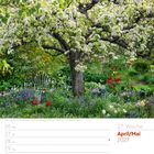 "17. Woche April/Mai 2027. Blühender Birnbaum mit Tulpen, Funkien." Ein blühender Baum in einem Garten voller Blumen.
