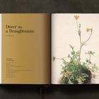 Text: “Drawings 1506 AD”. Illustration: Zwei gezeichnete Babygesichter mit dramatischen Schattierungen auf dunklem Hintergrund.