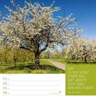 Zitat: "Wer zu sich selbst finden will, darf andere nicht nach dem Weg fragen." - Paul Watzlawick. Mai, KW18/2027.