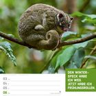 Den Winterspeck habe ich weg. Jetzt habe ich Frühlingsrollen. Kalenderseite Mai 2027, KW18, mit Bild eines Streifen-Ringschwanzbeutlers.