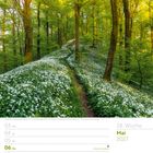 Kalenderseite: 18. Woche, Mai 2027. Bild: Waldweg mit blühendem Bärlauch im Teutoburger Wald.