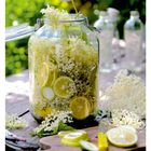 21. Mai, Mo 24, Di 25, Mi 26, Do 27, Fr 28, Sa 29, So 30. Holunderblüten und Zitronen im Glas auf einem Holztisch.