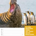 Text: "Ich kann dreistimmig singen: laut, falsch und mit Begeisterung." Ein See-Elefant mit offenem Maul, Pinguine im Hintergrund.