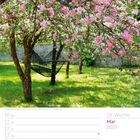 19. Woche, Mai 2027. Mai-Kalender mit blühendem Apfelbaum, Hängematte in Obstwiese.