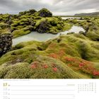 "Lavafeld Eldhraun - Südisland. Foto: Stefan Forster. Kalenderseite mit Bild von moosbedecktem Lavafeld und rot blühenden Pflanzen."