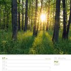 Mai 2027, Kalenderwoche 20. Sonnenaufgang in einem fränkischen Wald. Wochentage 17.–23., Pfingstmontag.