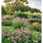 23. Juni, Mo 07, Di 08, Mi 09, Do 10, Fr 11, Sa 12, So 13. Ein blühender Garten mit Sonnenhut und Ziergräsern.